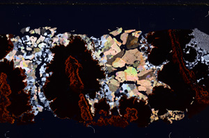 Cross Polarized, E26567