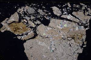 Cross Polarized, E26568