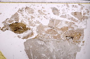 Plane Polarized, E26568