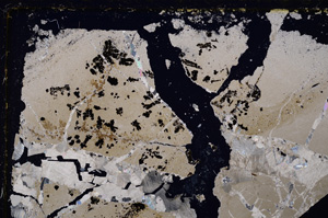 Cross Polarized, E26569