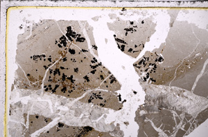 Plane Polarized, E26569