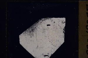 Cross Polarized, E26570