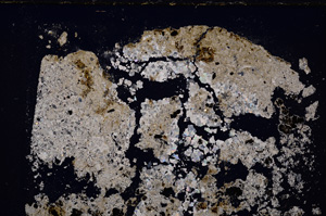 Cross Polarized, E26571