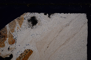 Cross Polarized, E26572