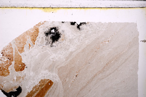 Plane Polarized, E26572