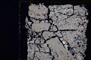 Cross Polarized, E26573