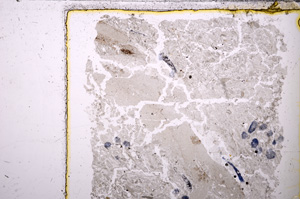 Plane Polarized, E26573