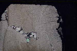 Cross Polarized, E26574