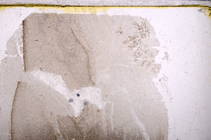 Plane Polarized, E26574