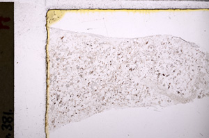 Plane Polarized, E26575