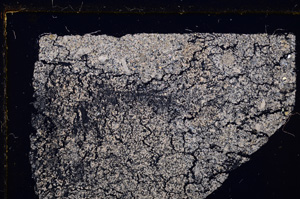 Cross Polarized, E26577