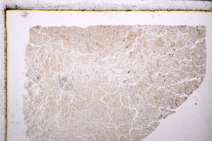 Plane Polarized, E26577