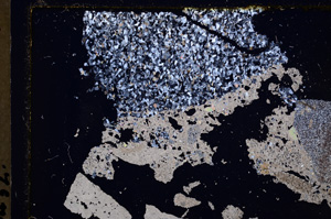 Cross Polarized, E26580