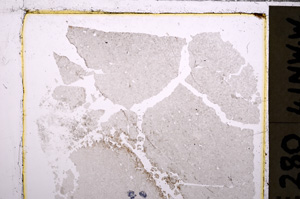 Plane Polarized, E26581