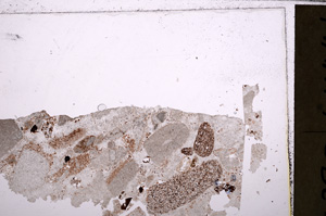 Plane Polarized, E26582