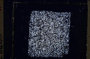 Cross Polarized, E26584