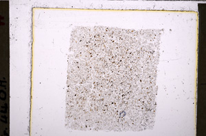 Plane Polarized, E26584