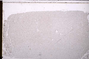 Plane Polarized, E26598