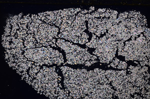 Cross Polarized, E26601