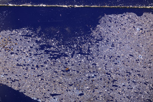 Cross Polarized, E26611