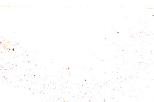 Plane Polarized, E26611