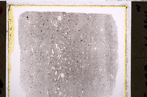 Plane Polarized, E26612