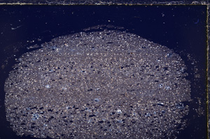 Cross Polarized, E26614