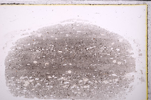 Plane Polarized, E26614