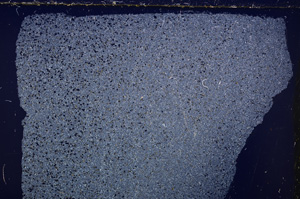 Cross Polarized, E26617