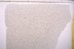 Plane Polarized, E26617