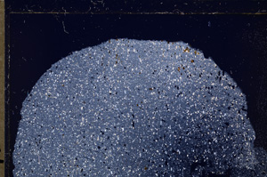 Cross Polarized, E26619