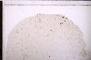 Plane Polarized, E26619