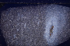 Cross Polarized, E26621