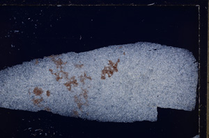 Cross Polarized, E26626