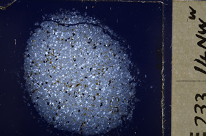 Cross Polarized, E26627