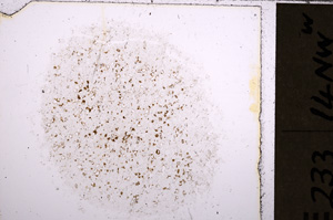 Plane Polarized, E26627