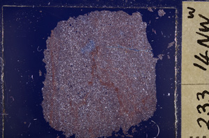 Cross Polarized, E26628