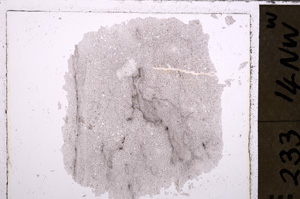 Plane Polarized, E26628