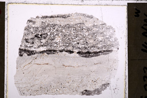 Plane Polarized, E26629