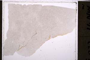 Plane Polarized, E26630