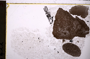 Plane Polarized, E26641