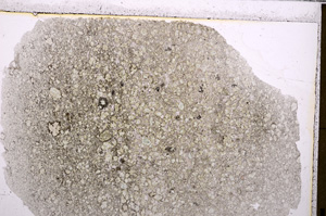 Plane Polarized, E26669