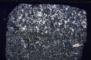Cross Polarized, E26670