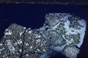Cross Polarized, E26675