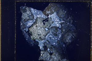 Cross Polarized, E26677