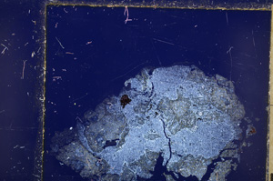 Cross Polarized, E26681