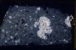 Cross Polarized, E26683