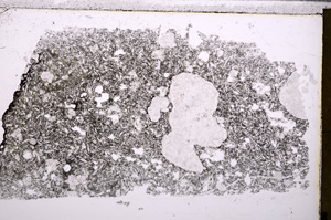 Plane Polarized, E26683