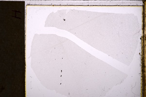 Plane Polarized, E26684