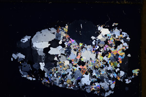Cross Polarized, E26686